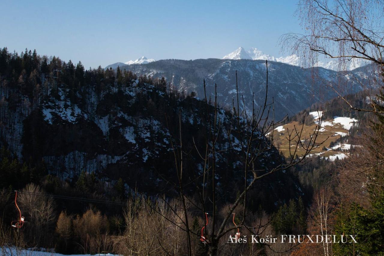 Вилла Pet & Family Friendly House Viktorija - House Near Golica With Triglav View Есенице Экстерьер фото