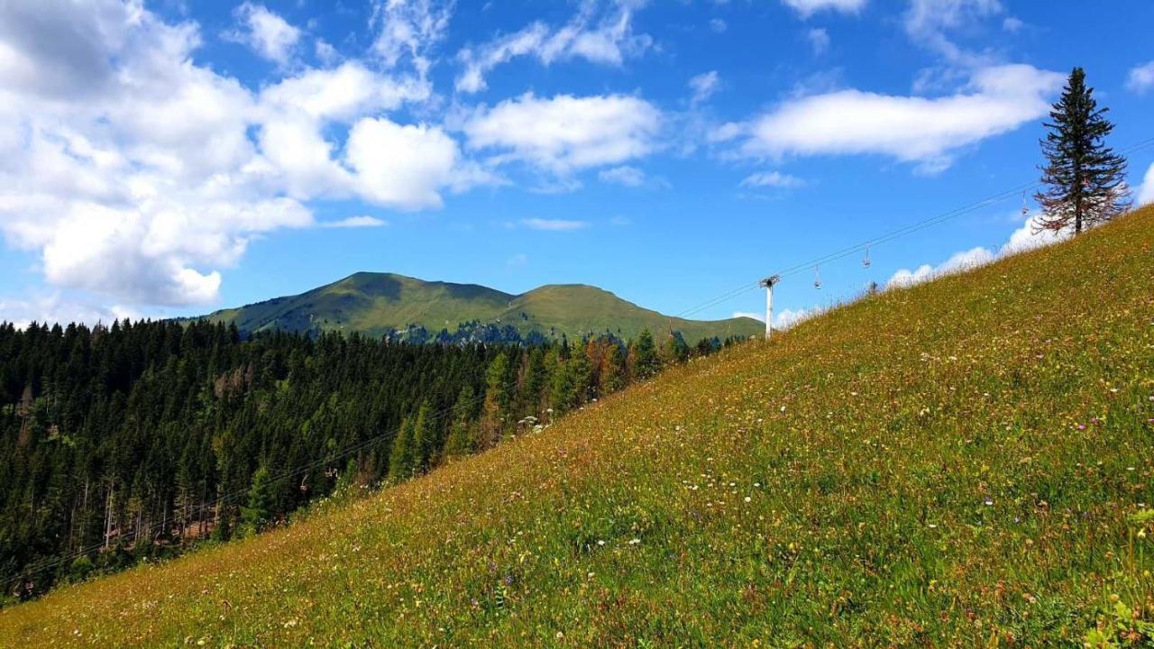 Вилла Pet & Family Friendly House Viktorija - House Near Golica With Triglav View Есенице Экстерьер фото
