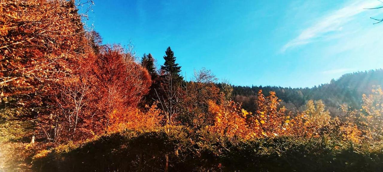 Вилла Pet & Family Friendly House Viktorija - House Near Golica With Triglav View Есенице Экстерьер фото