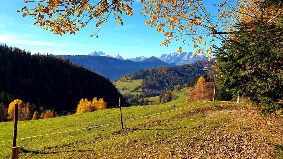 Вилла Pet & Family Friendly House Viktorija - House Near Golica With Triglav View Есенице Экстерьер фото