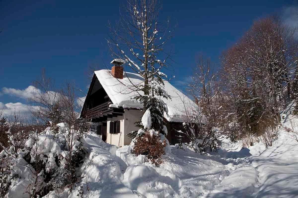 Вилла Pet & Family Friendly House Viktorija - House Near Golica With Triglav View Есенице Экстерьер фото
