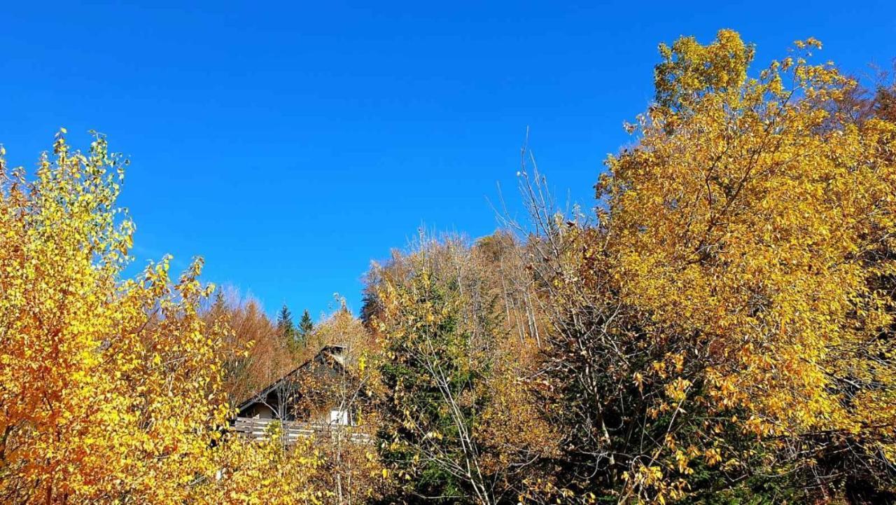 Вилла Pet & Family Friendly House Viktorija - House Near Golica With Triglav View Есенице Экстерьер фото